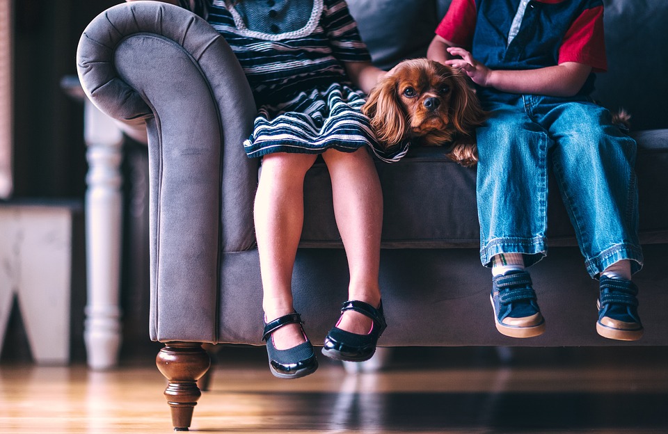 Un chat ou un chien, une aide pour l’éducation des enfants !